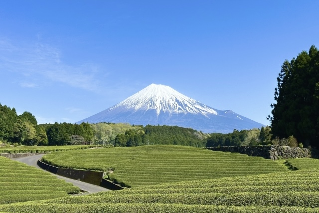 静岡の風景